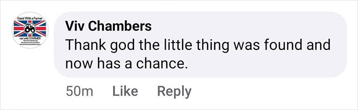 Comment expressing relief over the baby gorilla rescued at Istanbul airport.