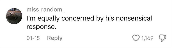 &ldquo;Comment expressing concern about a CEO's nonsensical response, related to red flags in job interviews.&rdquo;
