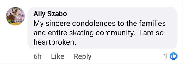 Comment expressing condolences to the ice skating community and families after crash in D.C. Comment expressing condolences to the ice skating community and families after crash in D.C.