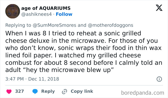 Tweet about a kid attempting to reheat a wrapped grilled cheese, causing a microwave mishap. Dumb-Clueless-Kids.