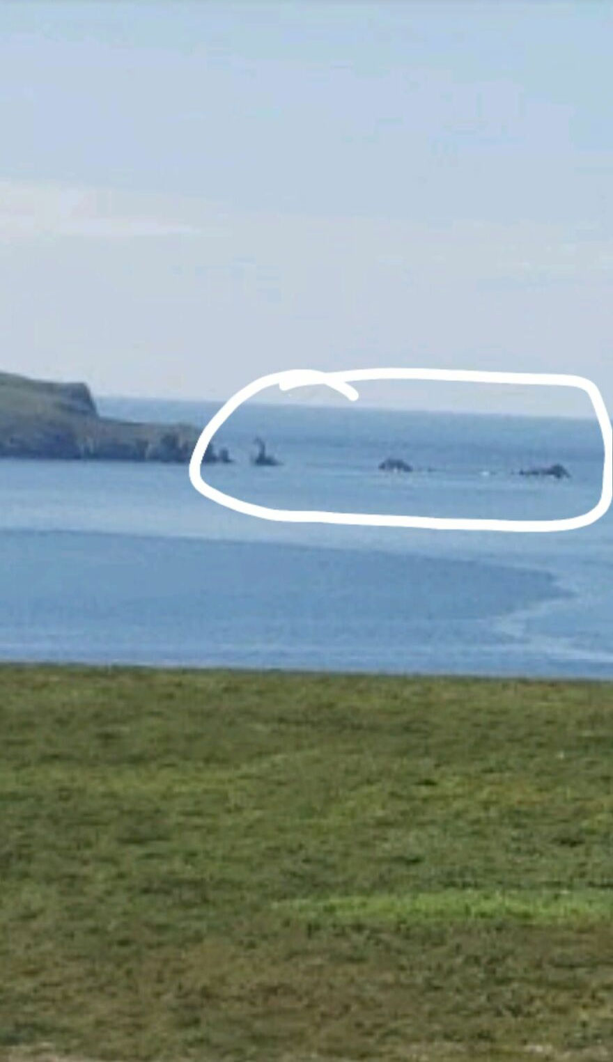 Unusual object circled in coastline view captured by Google Earth.