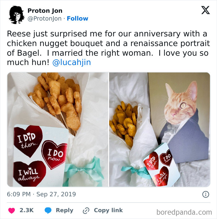 Chicken nugget bouquet and portrait of a cat in a suit as a funny wholesome anniversary surprise.
