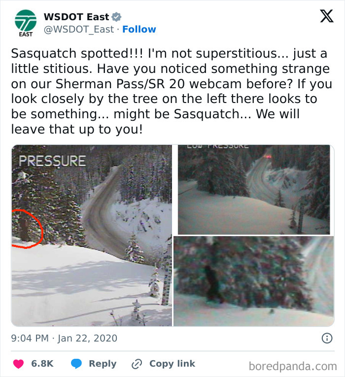 Creepy trail cam pictures showing a snowy forest road with a possible Sasquatch sighting circled on the left.