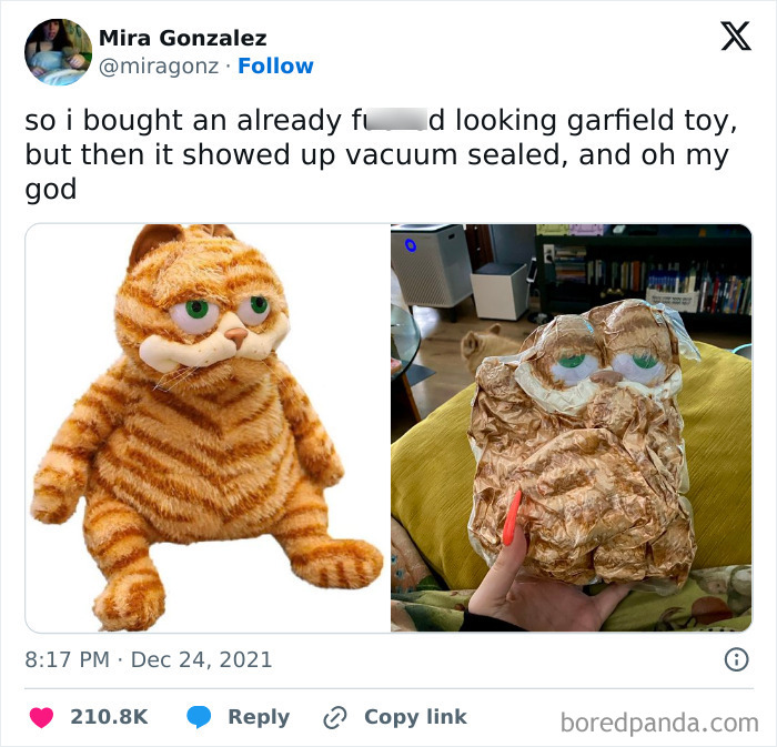 Vacuum-sealed Garfield toy, illustrating low-quality items people bought.