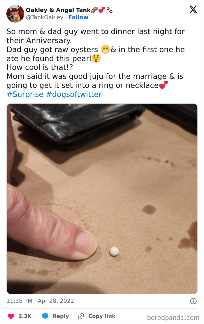 Finger pointing at pearl found in oyster, showcasing a funny-wholesome-anniversary-surprise.