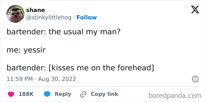 A humorous random meme featuring a bartender interaction about a usual order ending with a forehead kiss.