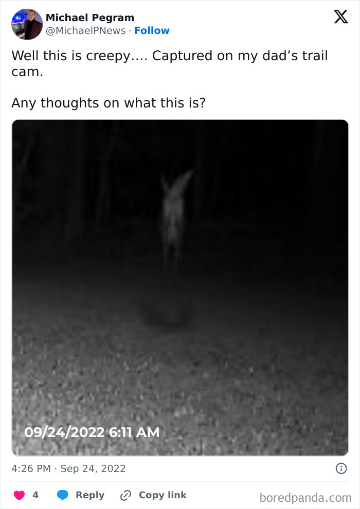 Creepy trail cam picture showing a mysterious figure captured in the dark woods.