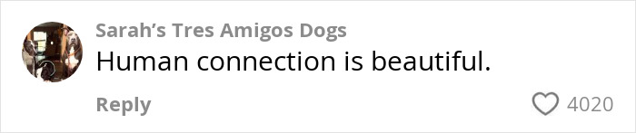 "Comment stating 'Human connection is beautiful' with 4020 likes, highlighting emotional response to mailman's farewell. "Comment stating 'Human connection is beautiful' with 4020 likes, highlighting emotional response to mailman's farewell.