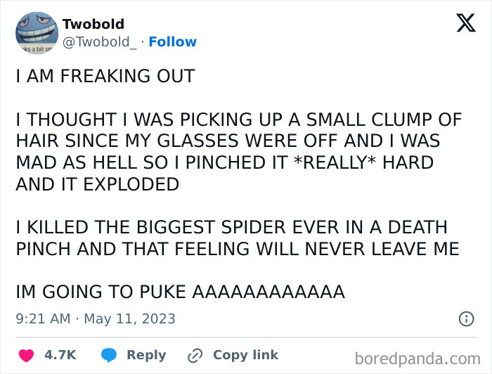 Text exchange about mistaking a spider for hair and the shock of k*****g it, an unexpected moment no one asked for.