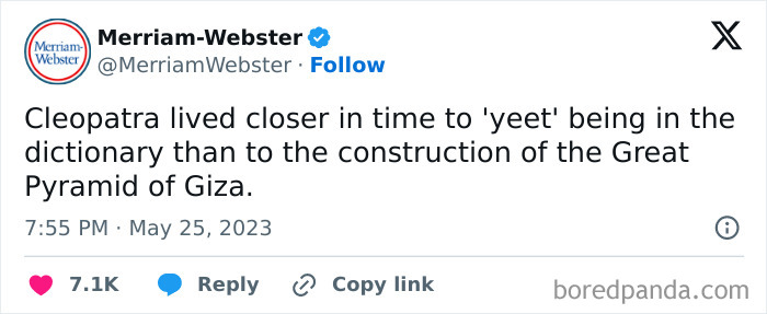 Meme about millennial life comparing Cleopatra's era to modern slang and ancient pyramids.