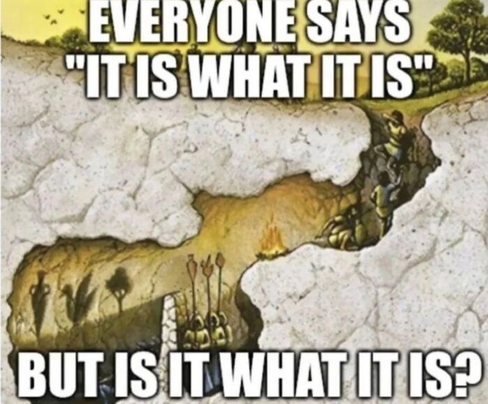 A funny meme questioning the phrase "It is what it is" with a cave illustration, perfect for a mood booster.