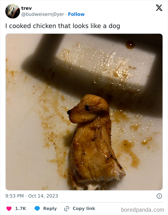 A piece of cooked chicken resembling a dog's head, illustrating pareidolia.