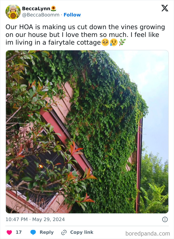 What's Wrong With Literal Nature