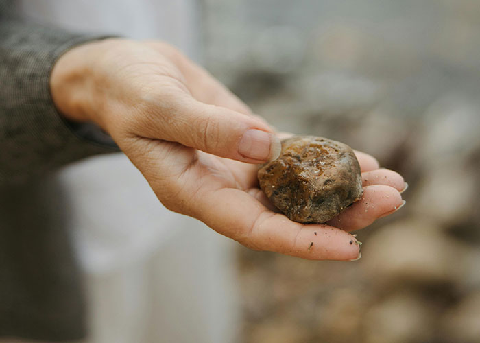 A hand holding a small, smooth stone, highlighting a moment that feels different and unique.