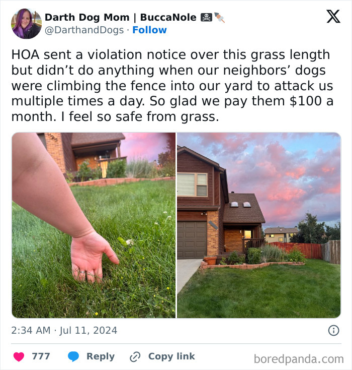 Did They Bring Over A Ruler?