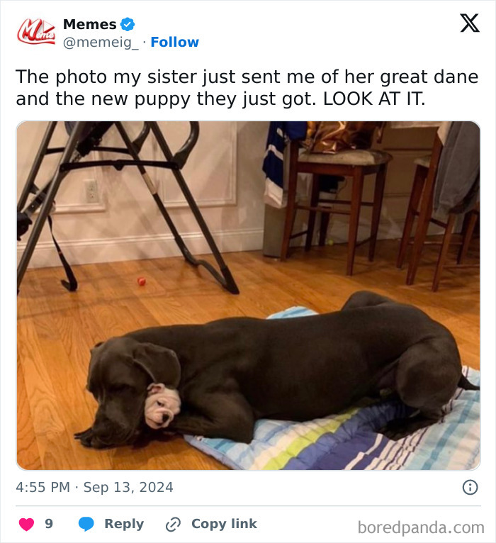 Wholesome-Meet-The-Internet-Best-All-Time