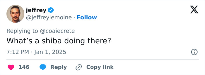 Guards Break Into Applause As Adorable Stray Dog Becomes First To Cross Romania-Hungary Border Guards Break Into Applause As Adorable Stray Dog Becomes First To Cross Romania-Hungary Border