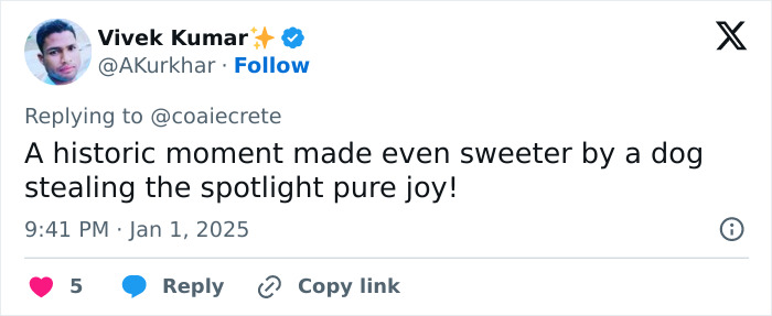 Guards Break Into Applause As Adorable Stray Dog Becomes First To Cross Romania-Hungary Border Guards Break Into Applause As Adorable Stray Dog Becomes First To Cross Romania-Hungary Border