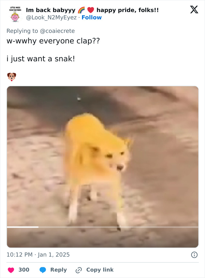 Guards Break Into Applause As Adorable Stray Dog Becomes First To Cross Romania-Hungary Border Guards Break Into Applause As Adorable Stray Dog Becomes First To Cross Romania-Hungary Border