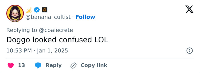 Guards Break Into Applause As Adorable Stray Dog Becomes First To Cross Romania-Hungary Border Guards Break Into Applause As Adorable Stray Dog Becomes First To Cross Romania-Hungary Border