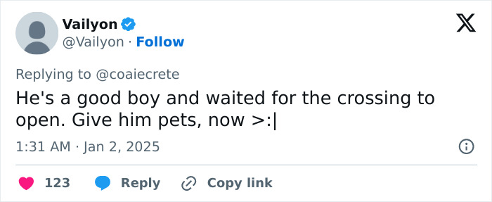 Guards Break Into Applause As Adorable Stray Dog Becomes First To Cross Romania-Hungary Border Guards Break Into Applause As Adorable Stray Dog Becomes First To Cross Romania-Hungary Border