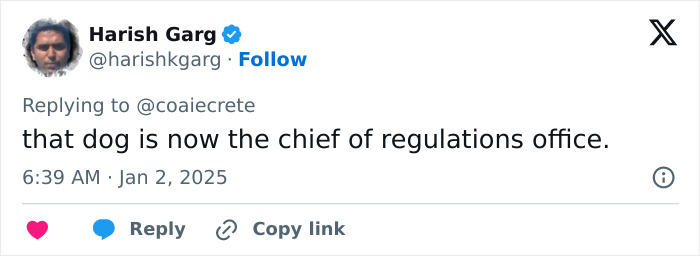 Guards Break Into Applause As Adorable Stray Dog Becomes First To Cross Romania-Hungary Border Guards Break Into Applause As Adorable Stray Dog Becomes First To Cross Romania-Hungary Border