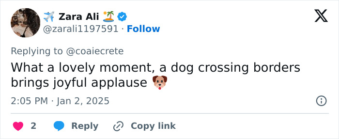 Guards Break Into Applause As Adorable Stray Dog Becomes First To Cross Romania-Hungary Border Guards Break Into Applause As Adorable Stray Dog Becomes First To Cross Romania-Hungary Border