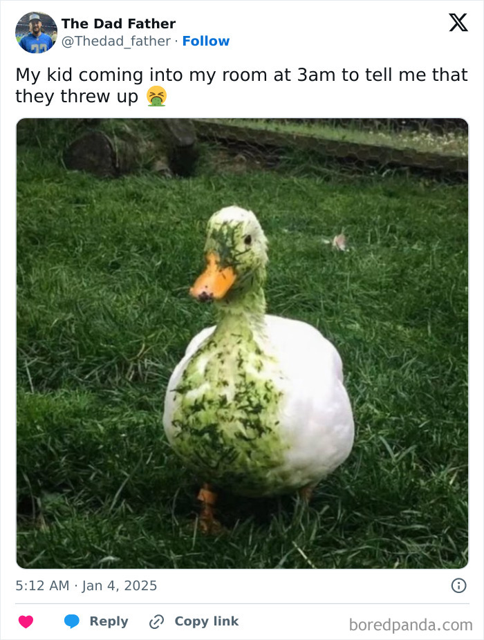Funny meme of a duck covered in grass, resembling a dad's daily joys and struggles with kids.