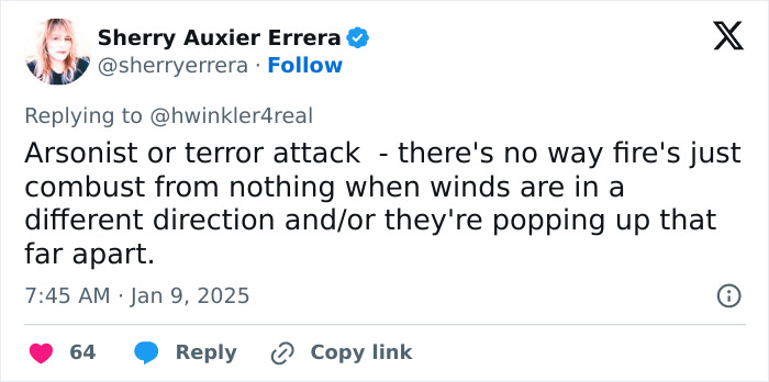 Tweet expressing theory about LA wildfires and arsonists, referencing combustion and winds.