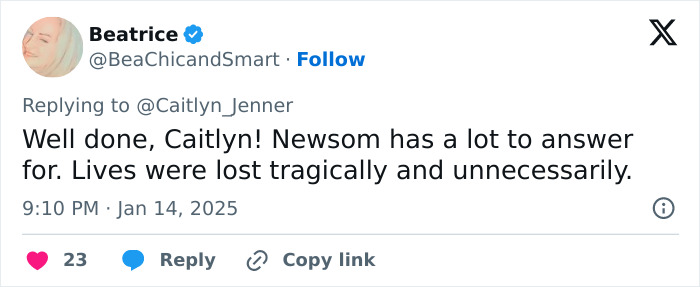 Tweet replies to Caitlyn Jenner about LA wildfires tragedy consequences. Tweet replies to Caitlyn Jenner about LA wildfires tragedy consequences.