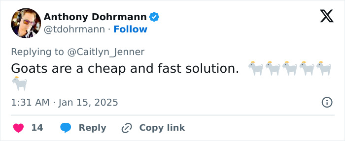 Tweet suggests goats as solution, linked to LA wildfires tragedy discussion. Tweet suggests goats as solution, linked to LA wildfires tragedy discussion.