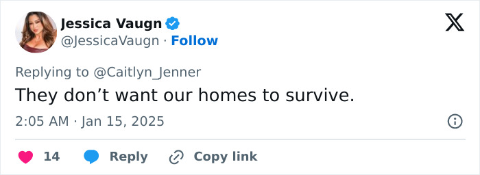 Tweet reply to Caitlyn Jenner about LA wildfires, expressing concern for homes. Tweet reply to Caitlyn Jenner about LA wildfires, expressing concern for homes.