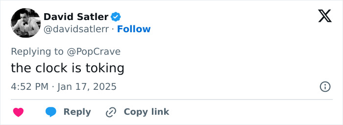 Tweet by David Satler mentioning TikTok amid ban controversy.