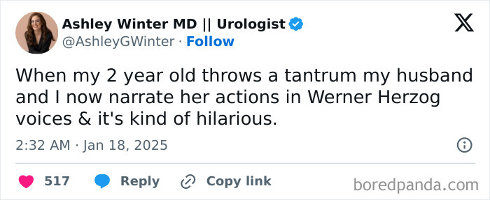 Funny parenting tweet by Ashley Winter about narrating a toddler's tantrum in Werner Herzog's voice.