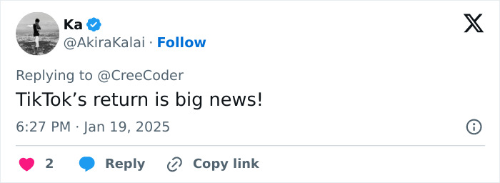 "Hasn&rsquo;t Even Been A Day": People In Disbelief As TikTok Is Back Online