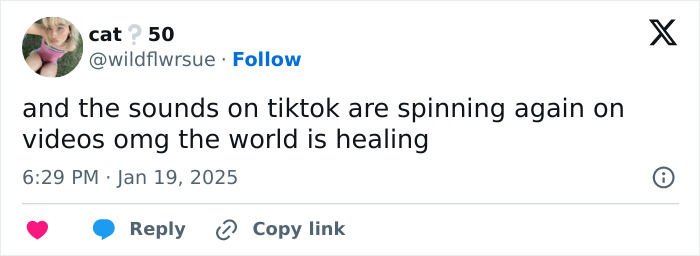 "Hasn&rsquo;t Even Been A Day": People In Disbelief As TikTok Is Back Online