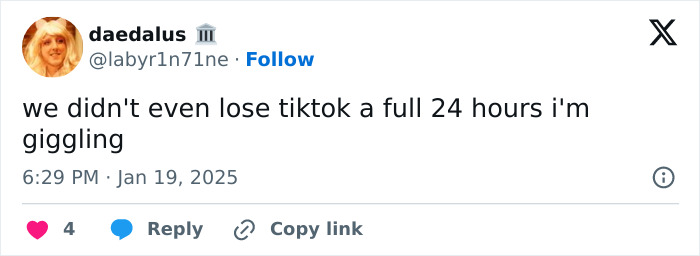 "Hasn&rsquo;t Even Been A Day": People In Disbelief As TikTok Is Back Online