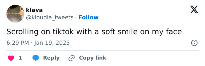 "Hasn&rsquo;t Even Been A Day": People In Disbelief As TikTok Is Back Online