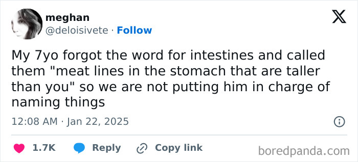 Tweet about parenting humor: Child amusingly refers to intestines as "meat lines in the stomach that are taller than you."
