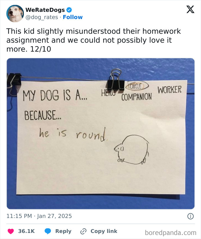 A child's homework humorously shows a dog as "round" under "circle," showcasing hilarious misunderstandings.