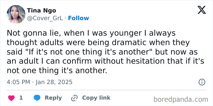 A humorous meme about adult life, highlighting relatable experiences for millennials, by user Tina Ngo on Twitter.