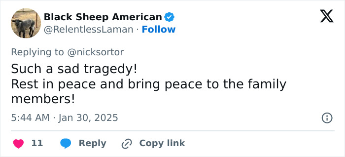 Nation Stunned As Figure Skaters Revealed On Flight That Collided With Army Helicopter In D.C. Nation Stunned As Figure Skaters Revealed On Flight That Collided With Army Helicopter In D.C.