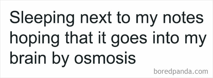 Wholesome-College-Memes