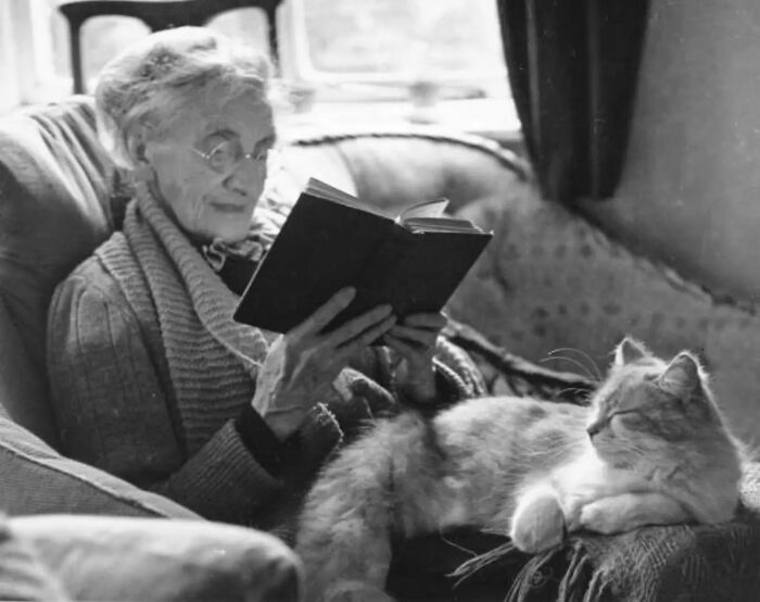 Vintage photo of an elderly woman reading with a cat on her lap, showing timeless companionship.
