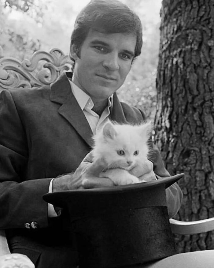 A man in a vintage suit holding a fluffy kitten in a top hat, showcasing timeless charm in a vintage photo of cats.