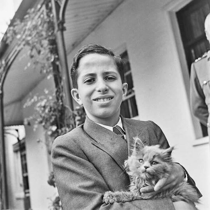 Boy in vintage suit holding a fluffy kitten outside, showcasing timeless love for cats.