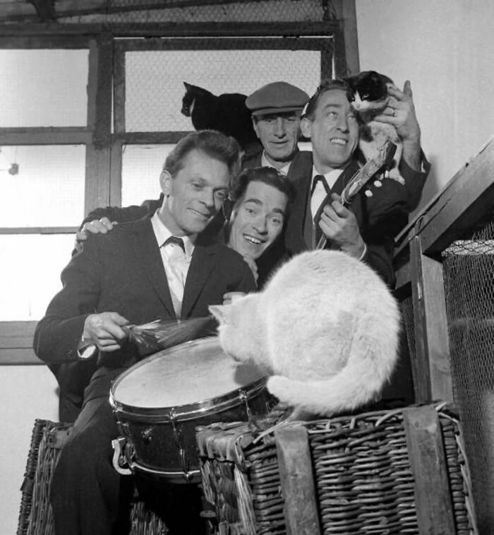Vintage photo of four men in suits and hats with three cats, one sitting on a drum, capturing timeless feline charms.