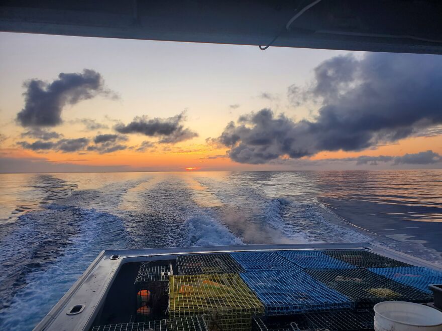 Here Are 19 Random Photos From My Camera Roll