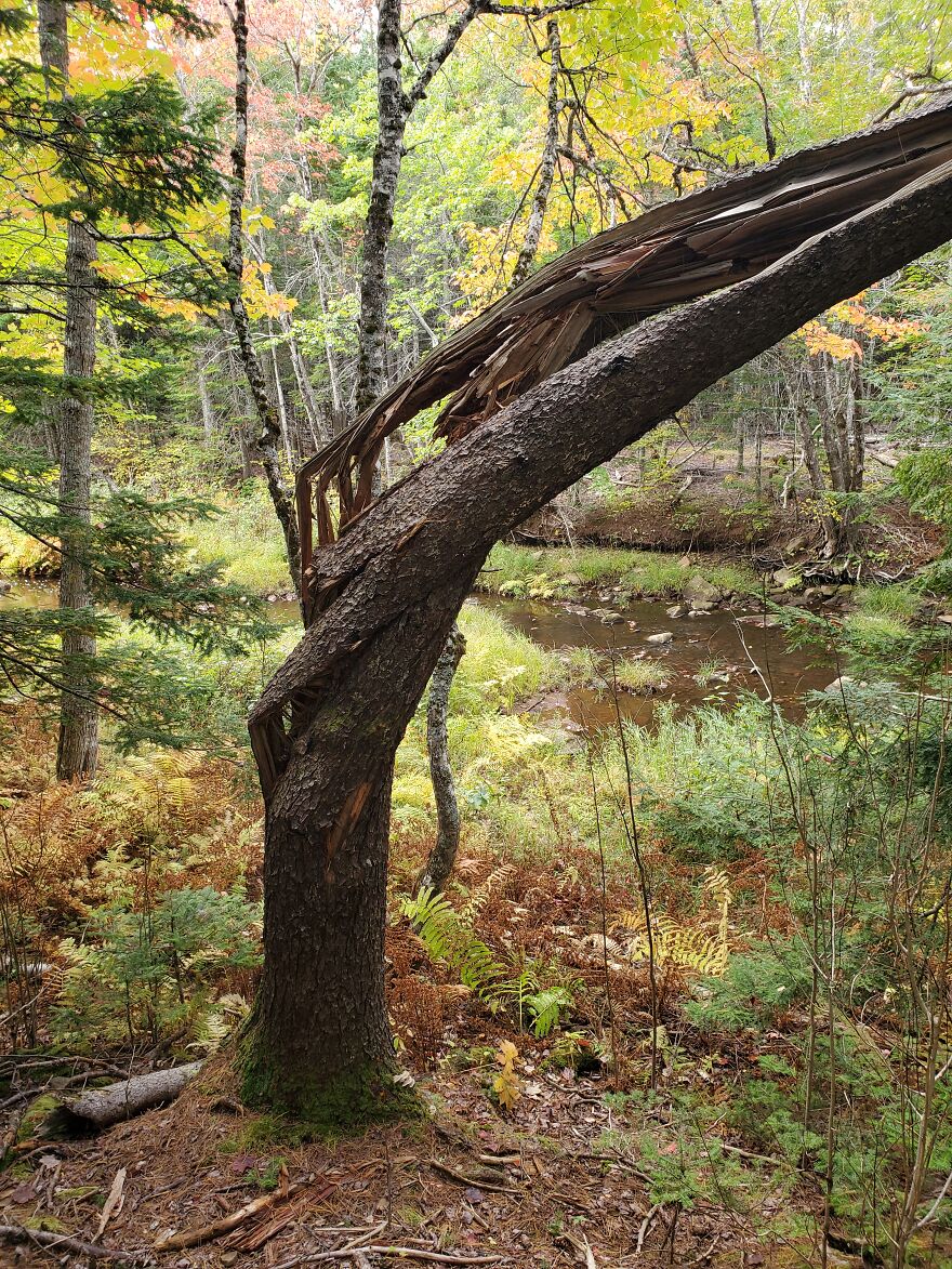 Here Are 19 Random Photos From My Camera Roll