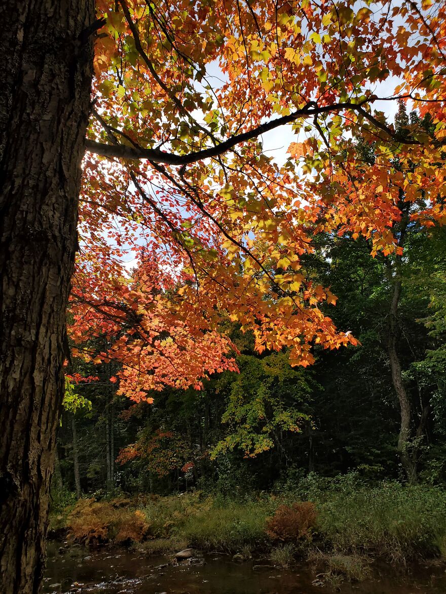 Here Are 19 Random Photos From My Camera Roll